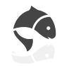 Poisson